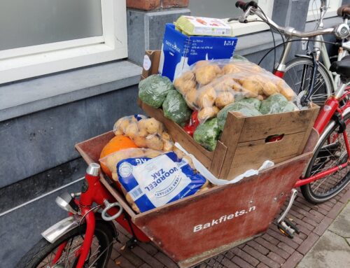 Groot bakfiets onderhoud