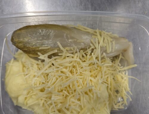 Witlof met puree en een peertje